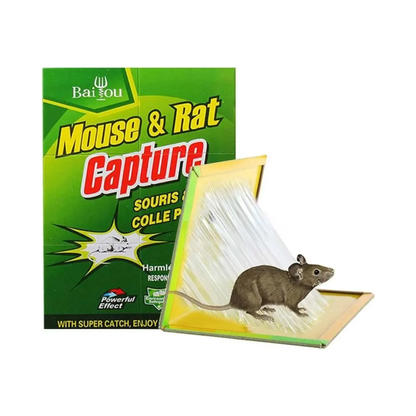 Trampa Para Ratas Ratones Pegamento Sin Veneno Adhesivas