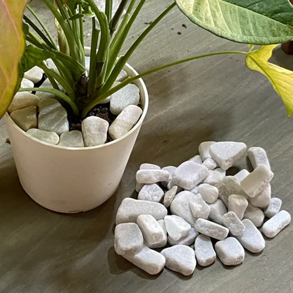 Piedras Blancas Para Decoración Jardin Maceta Florero 500gr